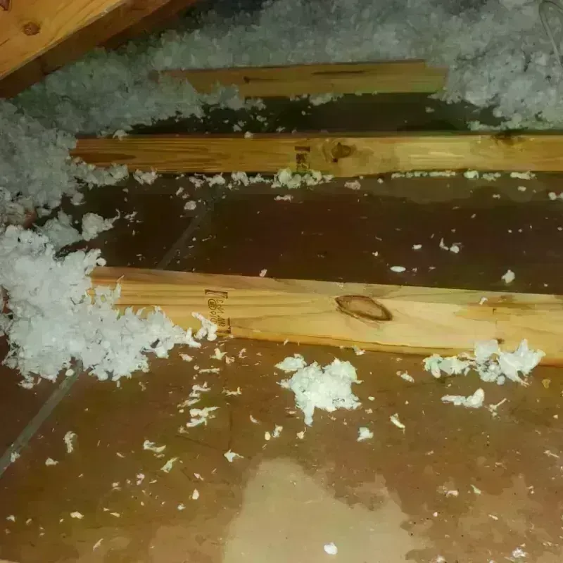 Attic Water Damage in Tiburones, PR